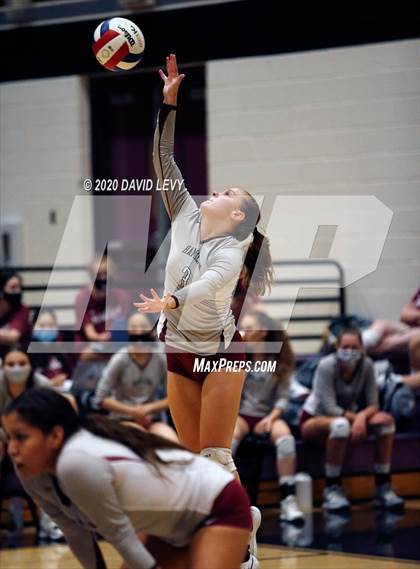 Thumbnail 3 in Basha @ Hamilton photogallery.