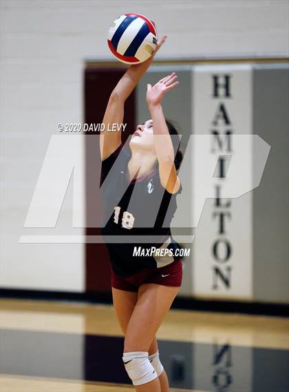 Thumbnail 2 in Basha @ Hamilton photogallery.