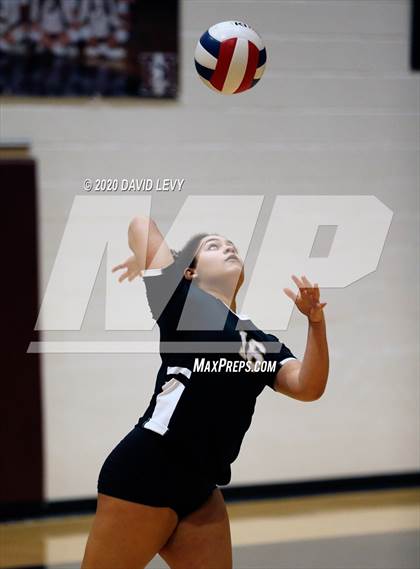 Thumbnail 2 in Basha @ Hamilton photogallery.