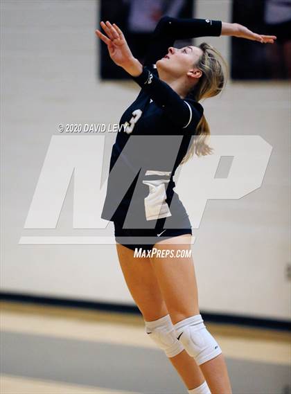 Thumbnail 3 in Basha @ Hamilton photogallery.