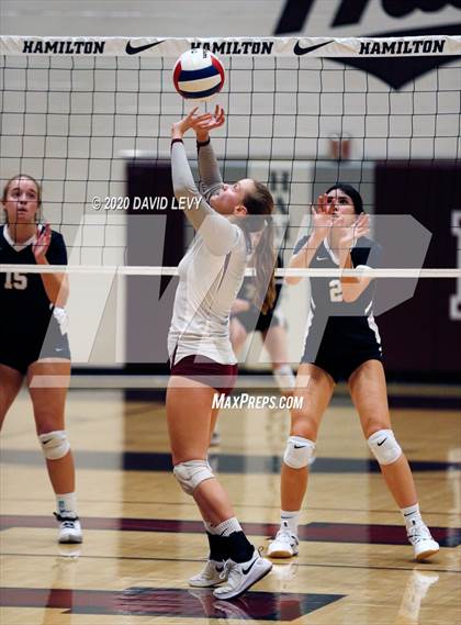 Thumbnail 1 in Basha @ Hamilton photogallery.