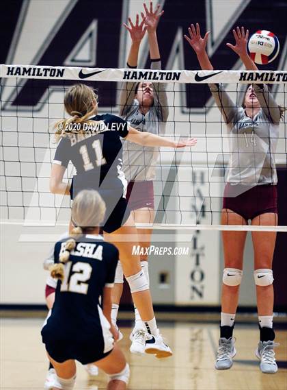 Thumbnail 2 in Basha @ Hamilton photogallery.