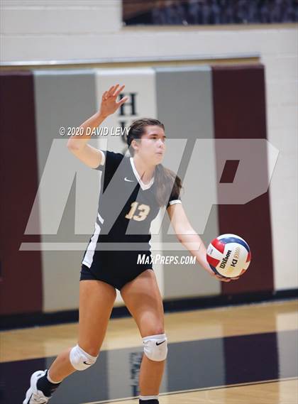 Thumbnail 3 in Basha @ Hamilton photogallery.