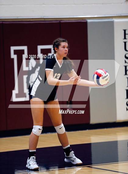 Thumbnail 2 in Basha @ Hamilton photogallery.