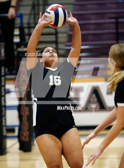 Thumbnail 3 in Basha @ Hamilton photogallery.