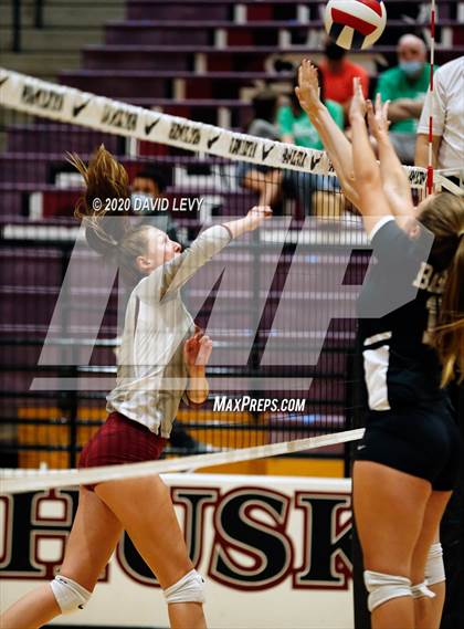Thumbnail 1 in Basha @ Hamilton photogallery.