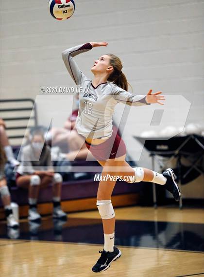 Thumbnail 1 in Basha @ Hamilton photogallery.