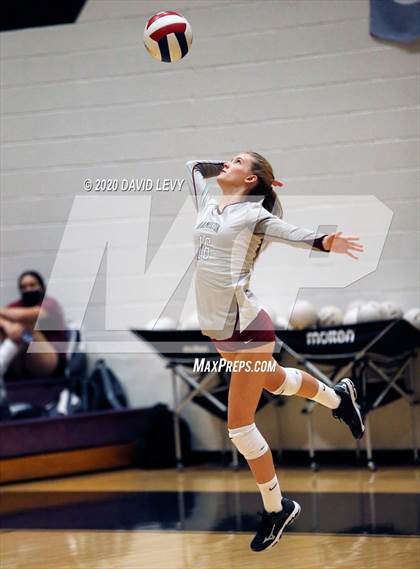 Thumbnail 2 in Basha @ Hamilton photogallery.