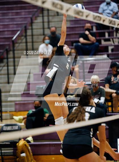 Thumbnail 3 in Basha @ Hamilton photogallery.