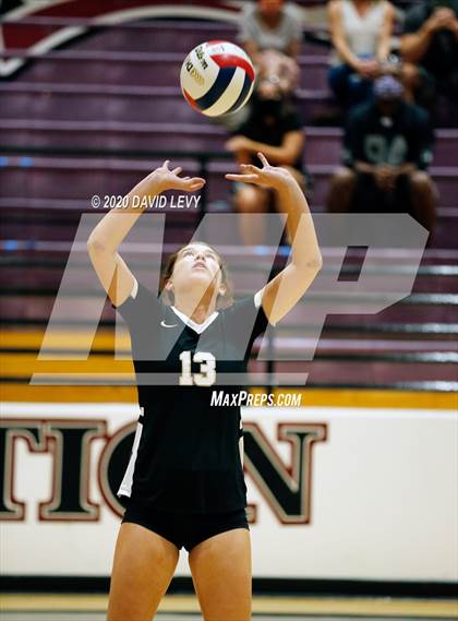 Thumbnail 2 in Basha @ Hamilton photogallery.