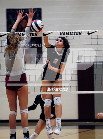 Thumbnail 1 in Basha @ Hamilton photogallery.
