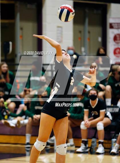 Thumbnail 1 in Basha @ Hamilton photogallery.