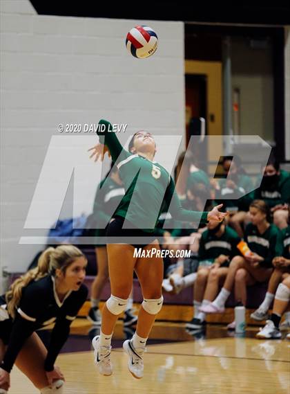 Thumbnail 1 in Basha @ Hamilton photogallery.