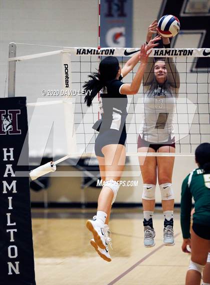 Thumbnail 3 in Basha @ Hamilton photogallery.