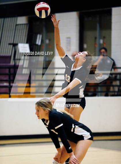 Thumbnail 1 in Basha @ Hamilton photogallery.