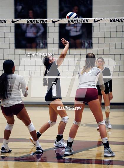 Thumbnail 3 in Basha @ Hamilton photogallery.
