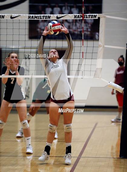 Thumbnail 2 in Basha @ Hamilton photogallery.