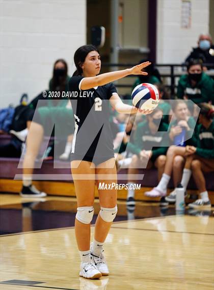 Thumbnail 3 in Basha @ Hamilton photogallery.
