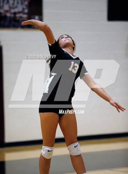 Thumbnail 1 in Basha @ Hamilton photogallery.