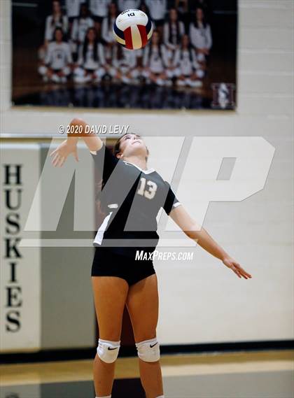 Thumbnail 2 in Basha @ Hamilton photogallery.