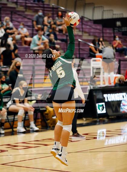 Thumbnail 1 in Basha @ Hamilton photogallery.