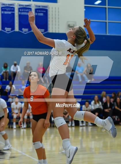 Thumbnail 2 in Aledo @ Brewer photogallery.