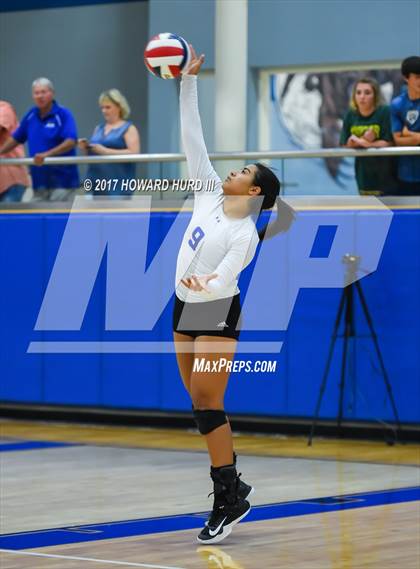 Thumbnail 1 in Aledo @ Brewer photogallery.