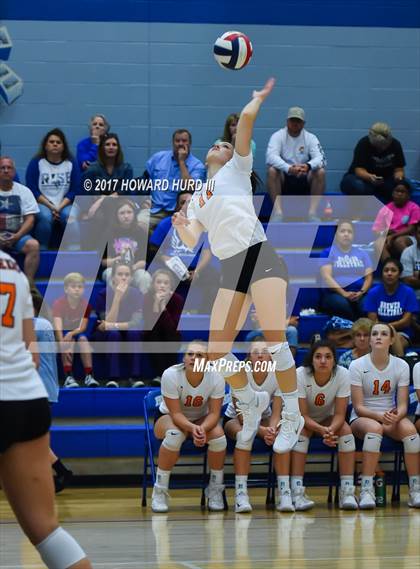 Thumbnail 1 in Aledo @ Brewer photogallery.