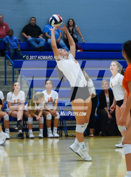 Thumbnail 3 in Aledo @ Brewer photogallery.