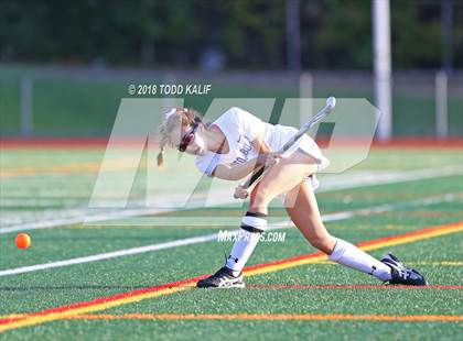 Thumbnail 3 in Simsbury @ Glastonbury photogallery.