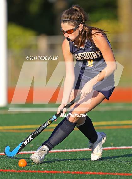 Thumbnail 1 in Simsbury @ Glastonbury photogallery.
