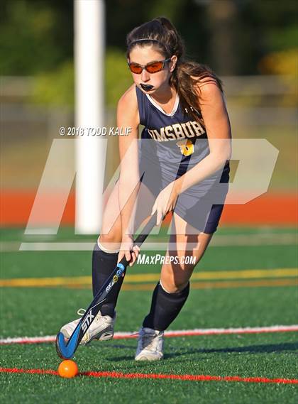 Thumbnail 3 in Simsbury @ Glastonbury photogallery.