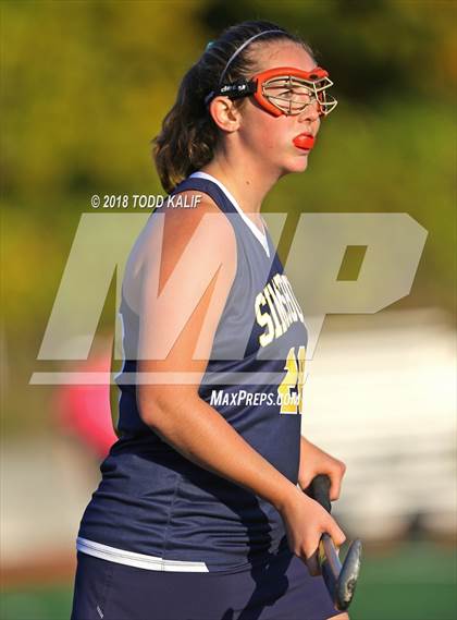 Thumbnail 2 in Simsbury @ Glastonbury photogallery.