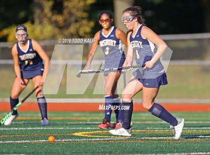 Thumbnail 2 in Simsbury @ Glastonbury photogallery.