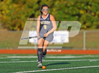 Thumbnail 3 in Simsbury @ Glastonbury photogallery.