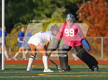 Thumbnail 3 in Simsbury @ Glastonbury photogallery.