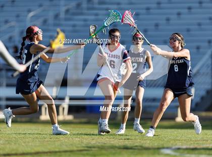 Thumbnail 2 in Cape Fear @ Terry Sanford photogallery.