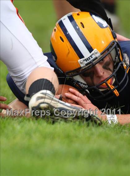 Thumbnail 1 in Plainfield @ Ledyard  photogallery.
