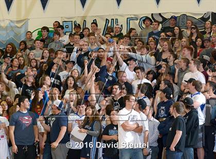 Thumbnail 1 in Chico vs. Pleasant Valley (CIF NS D2 Final) photogallery.