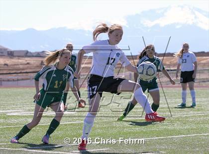Thumbnail 1 in Falcon @ Vista Ridge photogallery.