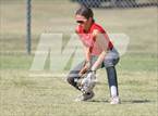 Photo from the gallery "Newkirk @ Morrison"