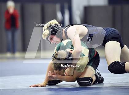 Thumbnail 1 in Bear Creek @ Columbine  photogallery.