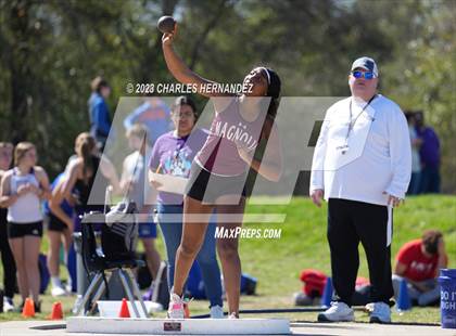 Thumbnail 1 in College Station Cougar Relays (Shotput, Pole Vault) photogallery.