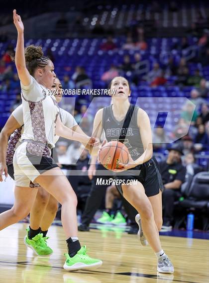 Thumbnail 1 in Mansfield Timberview vs. Cedar Park (UIL 5A Basketball Semifinal) photogallery.