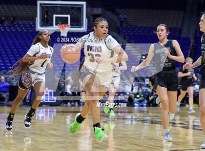 Thumbnail 1 in Mansfield Timberview vs. Cedar Park (UIL 5A Basketball Semifinal) photogallery.