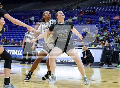 Thumbnail 2 in Mansfield Timberview vs. Cedar Park (UIL 5A Basketball Semifinal) photogallery.