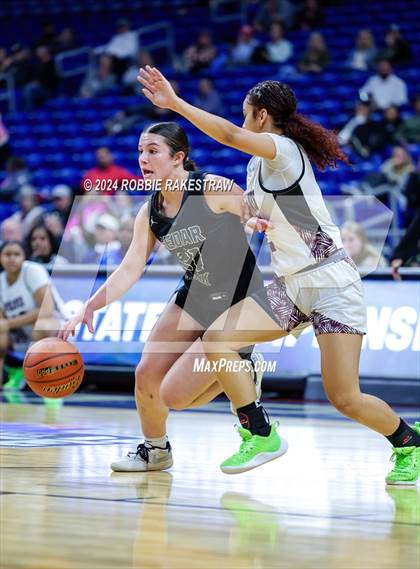 Thumbnail 3 in Mansfield Timberview vs. Cedar Park (UIL 5A Basketball Semifinal) photogallery.