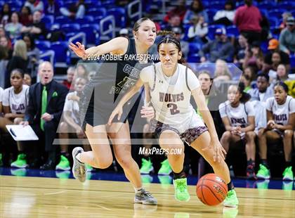 Thumbnail 3 in Mansfield Timberview vs. Cedar Park (UIL 5A Basketball Semifinal) photogallery.