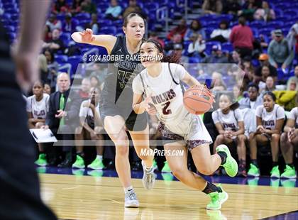 Thumbnail 1 in Mansfield Timberview vs. Cedar Park (UIL 5A Basketball Semifinal) photogallery.
