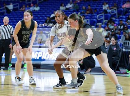 Thumbnail 1 in Mansfield Timberview vs. Cedar Park (UIL 5A Basketball Semifinal) photogallery.
